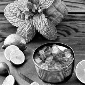 Lime Mint Cooler