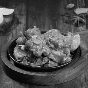  Fish Appolo
