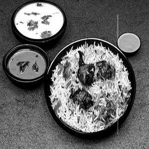 Reshmi Biryani