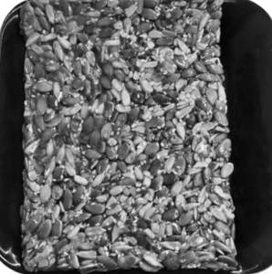 Multi Grain Chikki