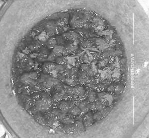 Baingan Bharta
