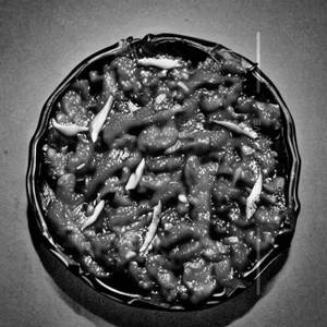 Chilli Mushroom