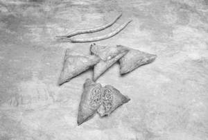 Jain Chinese Samosa [Fry]