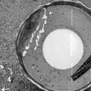 Lassi