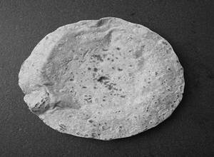 Bhakri