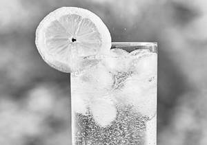 Fresh Lime Soda