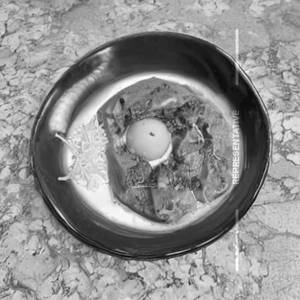 Egg curry [pis]