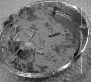 Kaju Hyderabadi
