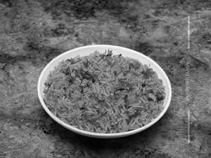 Veg Stewed Rice 