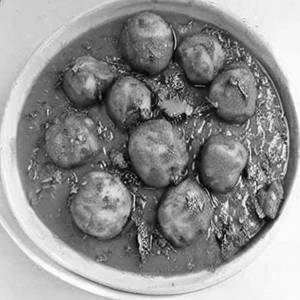 Kashmiri Dum Aloo