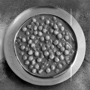 Green Peas Masala