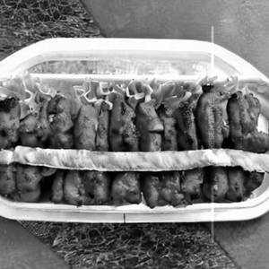 Tandoori Chicken Hotdog