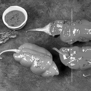 Stuffed Capsicum