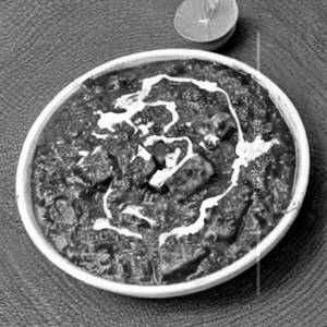 Palak Paneer