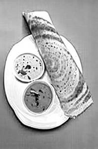 Onion Masala Dosa