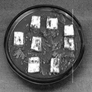 Paneer Schezwan Kepsa