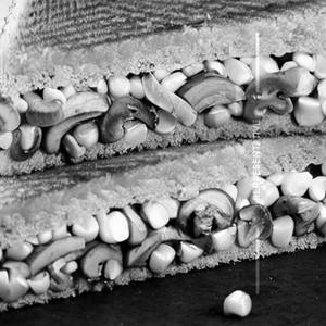 Mushroom Corn Sandwich        