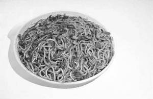 Chilly Garlic Egg Noodles(h)