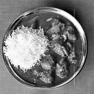 Chicken Mughlai Gravy