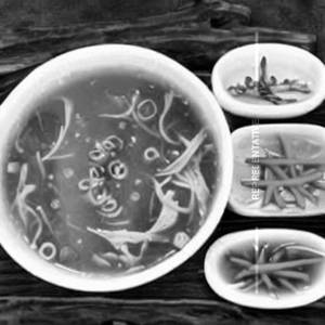 Lung Fung Soup