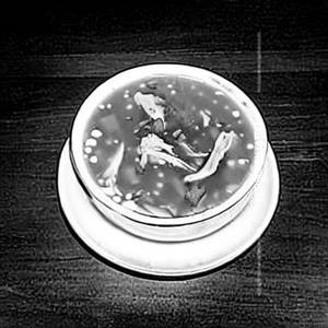 Chicken Clear Soup