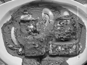 Paneer Tikka Bemisaal