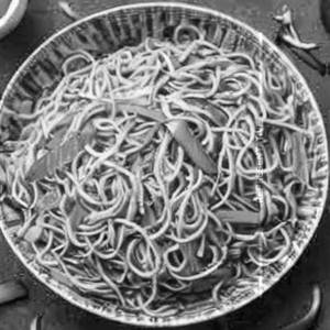 Veg Hakka Noodles