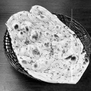 Garlic Butter Naan