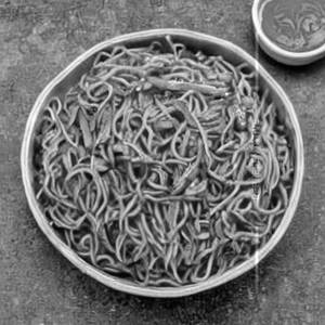 Veg Schezwan Noodles
