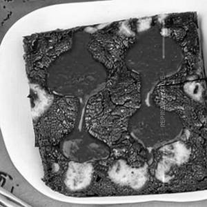 Sizzling Brownie