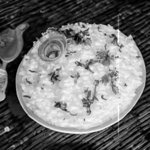 Curd Rice
