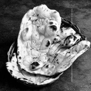 Naan