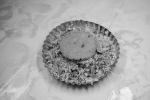 Nippat Bhel