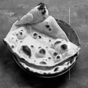 Butter Roti