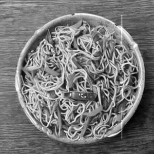 Veg Hakka Noodles