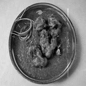 Banjara Chicken