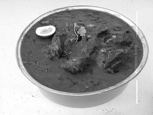 Mutton Hyderabadi Curry