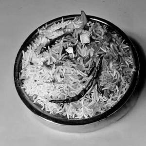 Veg  biryani