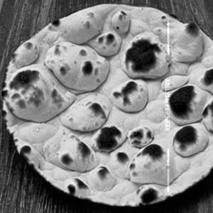 Tandoori Roti