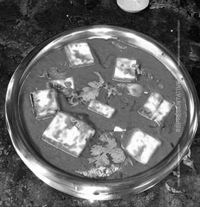 Paneer Makhanwala