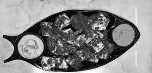 Hariyali Paneer (starter)