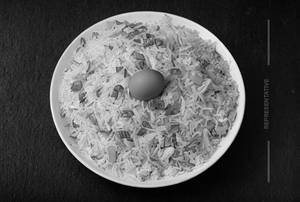 Egg Fried Rice