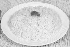 Rice