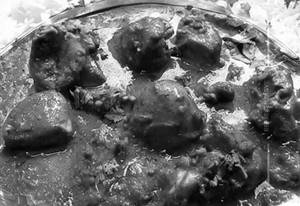Chicken Mughlai