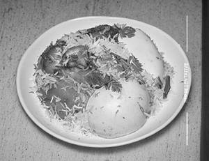 Chicken biryani
