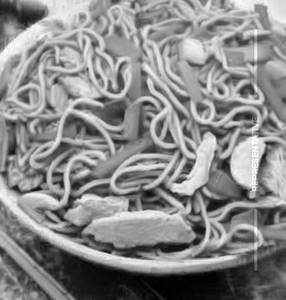 Chicken Noodles
