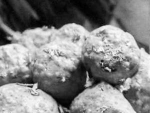 Aloo Kofta