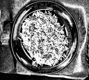 Burnt Garlic Rice [Fish]