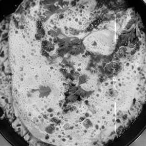 Egg Omlet