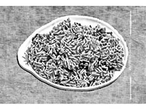 Schezwan Rice [Prawns]